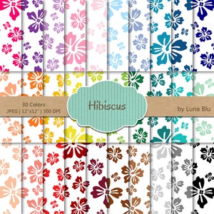 Hibiscus digitale papier pack: "Rainbow Hibiscus" floral digitale papier, regenboog digitale papier, floral scrapbook papier, zomer digitale papier