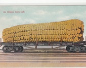 1910 Antique Postcard Exaggerated Oregon Corn Cob On Railroad Car