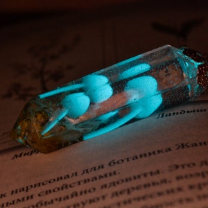 Glowing mushroom necklace, Crystal point necklace, Glow in the dark necklace, Real moss necklace