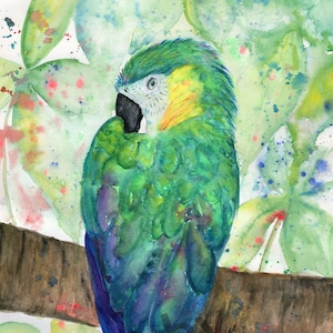 Parrot wall art, Macaw parrot painting, Watercolor parrot print, Macaw Parrot art print, watercolor parrot art, Tropical bird art