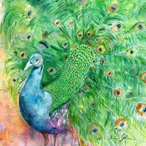 Colorful Peacock Art Print: Watercolor Bird Painting