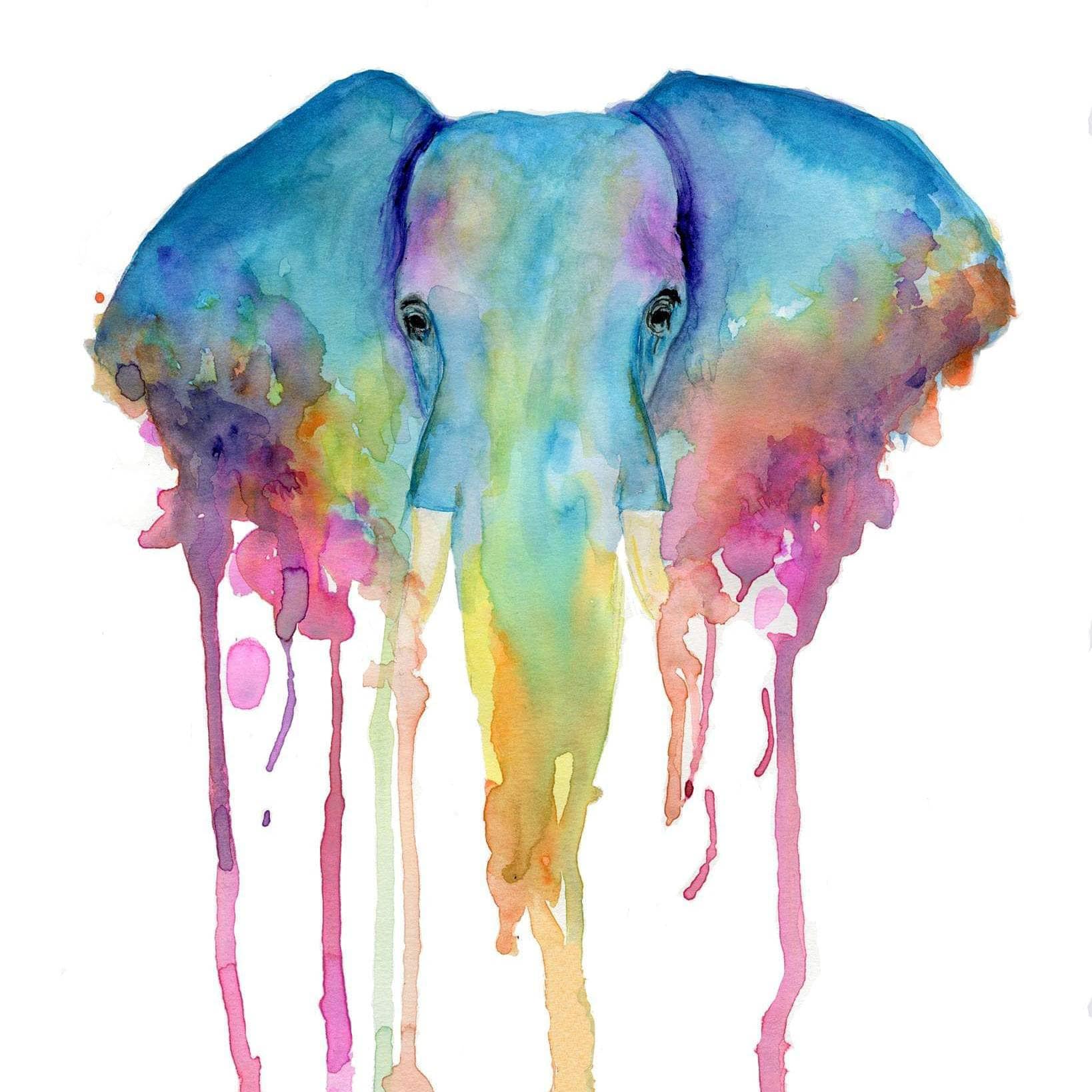 Colorful Abstract elephant art for home decor Watercolor ...
