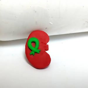 Handmade Kidney Pin: Organ Donor Awareness Gift - Etsy