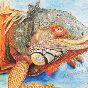 Arte mural de lagarto, arte mural de iguana, decoración de pared de iguana, dibujo colorido de iguana, decoración de lagarto para el hogar, idea de regalo de iguana, decoración única para el hogar
