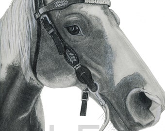 Horse art print, Horse wall art, Horse art for home decor, Black and white horse drawing, Charcoal and graphite art, Pencil horse drawing