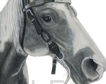 Graphite Horse Art Print: Black and White Pencil Drawing