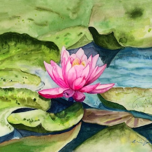 Pink Water Lily Art Print: Original Watercolor Painting