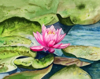 Pink Water Lily Art Print: Original Watercolor Painting