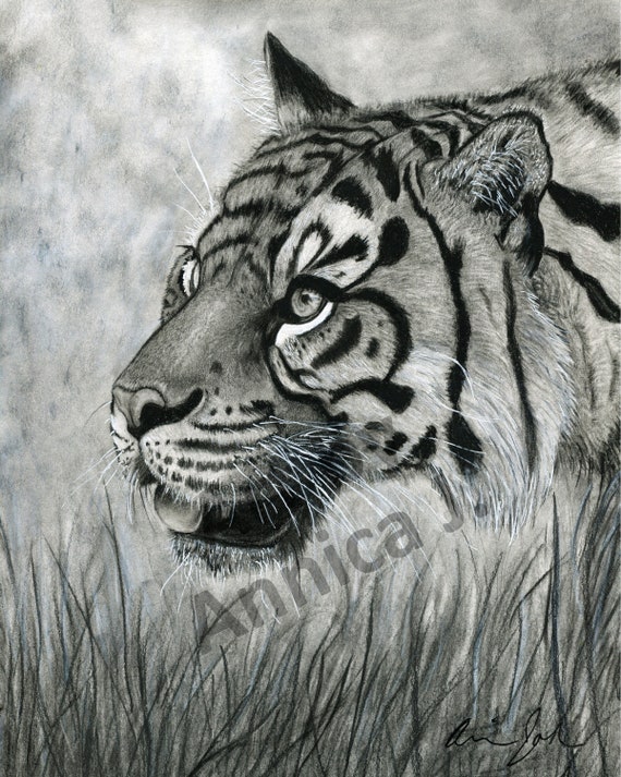 Stampa artistica della tigre: arte murale in bianco e nero - Italia