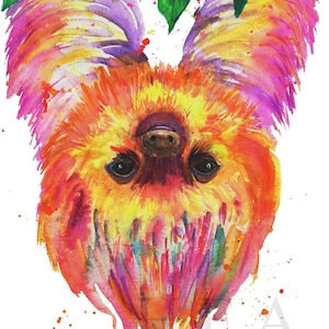 Puede incluir: Una pintura de acuarela de un perezoso con un pelaje brillante y colorido. El perezoso está colgado boca abajo con la cabeza mirando al espectador. El pelaje está pintado en tonos de rosa, naranja, amarillo y verde. Los ojos del perezoso están cerrados y su boca está ligeramente abierta. El fondo es blanco.