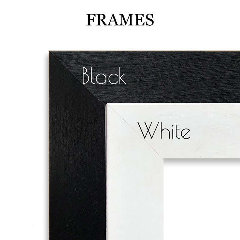 K&ouml;nnte beinhalten: Bild von zwei Bilderrahmen, einem schwarzen und einem wei&szlig;en, mit dem Wort "FRAMES" oben. Der schwarze Rahmen befindet sich links und der wei&szlig;e Rahmen rechts. Das Wort "Black" steht auf dem schwarzen Rahmen und das Wort "White" auf dem wei&szlig;en Rahmen.