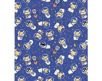 Kocyk - Space Corgi