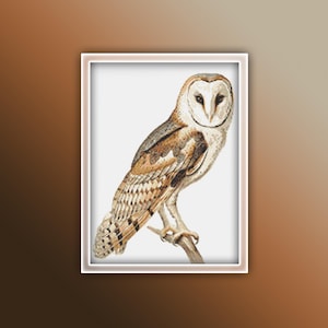 Barn Owl Cross Stitch Pattern 1 Instant Download Instant PDF Download - Baby Owl Watercolor Cross Stitch Pattern - Woodland Animals