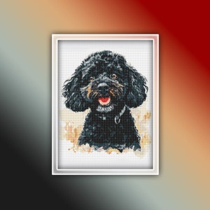 Op de afbeelding: Een zwarte poedel met een witte halsband, lachend met zijn tong naar buiten. De hond is scherp in focus tegen een wazige achtergrond van bruin en wit.