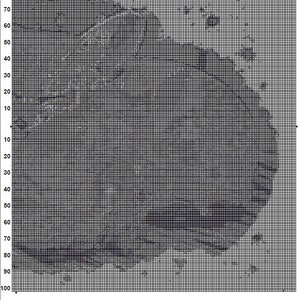 Puede incluir: Un patr&oacute;n de cuadr&iacute;cula en blanco y negro con una imagen descolorida de un paisaje en el centro. La cuadr&iacute;cula est&aacute; numerada del 10 al 170 en el eje horizontal y del 10 al 100 en el eje vertical.