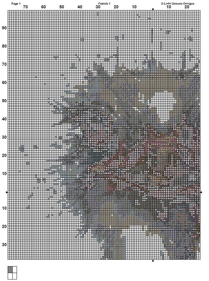 May include: A cross-stitch pattern chart with a grid of squares, featuring a detailed design with various colours. The chart includes the text "Page 1" and "Ostrich 1" along with the Light Unicorn Designs logo.