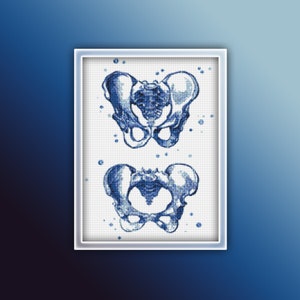 Anatomie-Becken-Kreuzstichmuster 2 Sofortiger PDF-Download - Hip-Aquarell-Kreuzstichmuster
