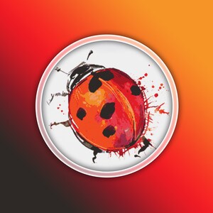 May include: A red and black ladybug with white spots on a white background with red and black paint splatters.