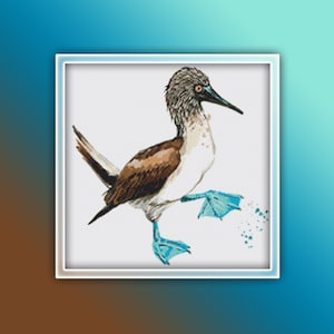 Blue Footed Booby Cross Stitch Pattern 1  Blue Footed Booby Bird Watercolor Cross Stitch Pattern - Bird Cross Stitch Pattern