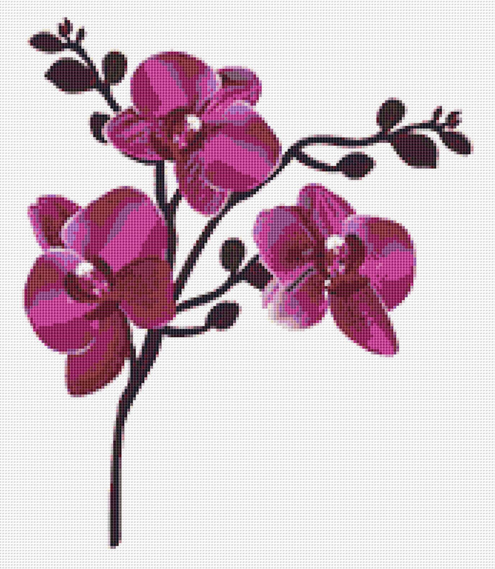 Orchid Cross Stitch Pattern 2 Instant PDF Download Flowers - Etsy