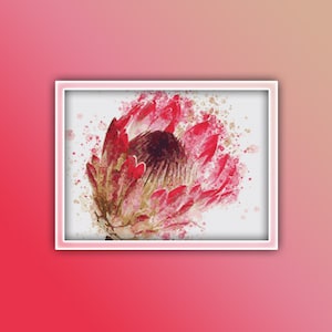 May include: A watercolor painting of a red protea flower with a white background and splattered paint.