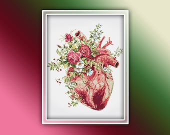 Anatomy Heart Cross Stitch Pattern 3 Instant PDF Download - Heart Watercolor Cross Stitch Pattern