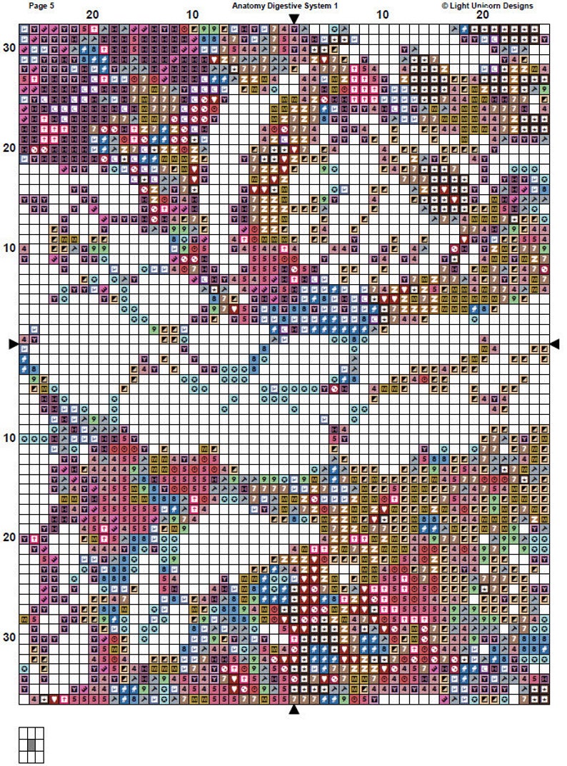 Anatomy Digestive System Cross Stitch Pattern 2 Instant PDF Download ...