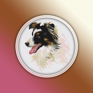 Op de afbeelding: Een close-up van een zwart, bruin en witte border collie met een roze tong die uitsteekt. De hond kijkt naar links.