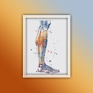 Anatomy Cross Stitch Pattern 7 Instant PDF Download - Leg Watercolor Cross Stitch Pattern
