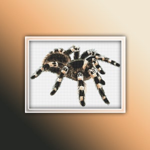 Tarantula Cross Stitch Pattern 2 Instant PDF Download - Spider Watercolor Cross Stitch Pattern - Animal Cross Stitch Pattern