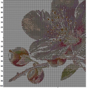 Cherry Blossoms Flower Cross Stitch Pattern 1 Instant PDF Download ...