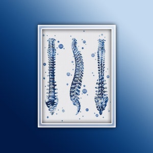 May include: Three blue and white watercolor illustrations of the human spine on a white background with blue dots.