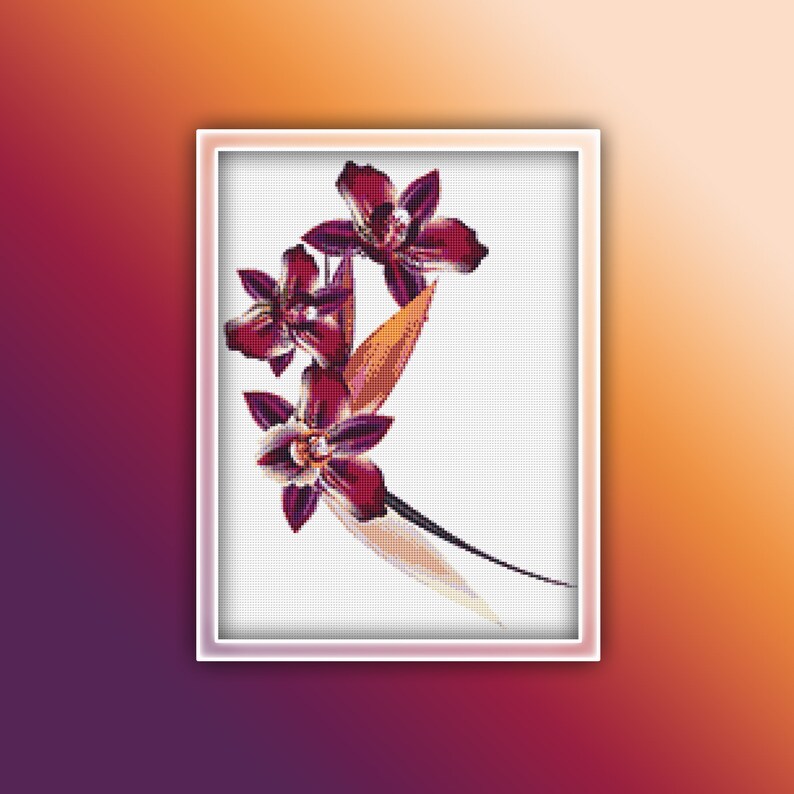 Orchid Cross Stitch Pattern 12 Instant PDF Download Flowers - Etsy