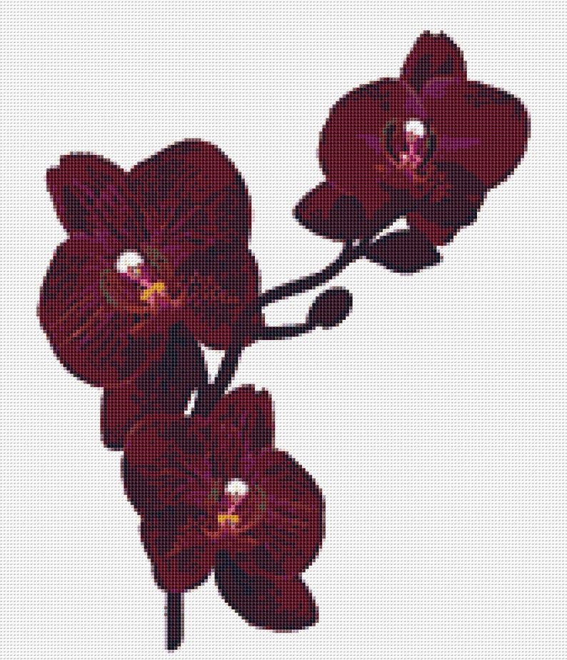 Orchid Cross Stitch Pattern 7 Instant PDF Download Flowers - Etsy
