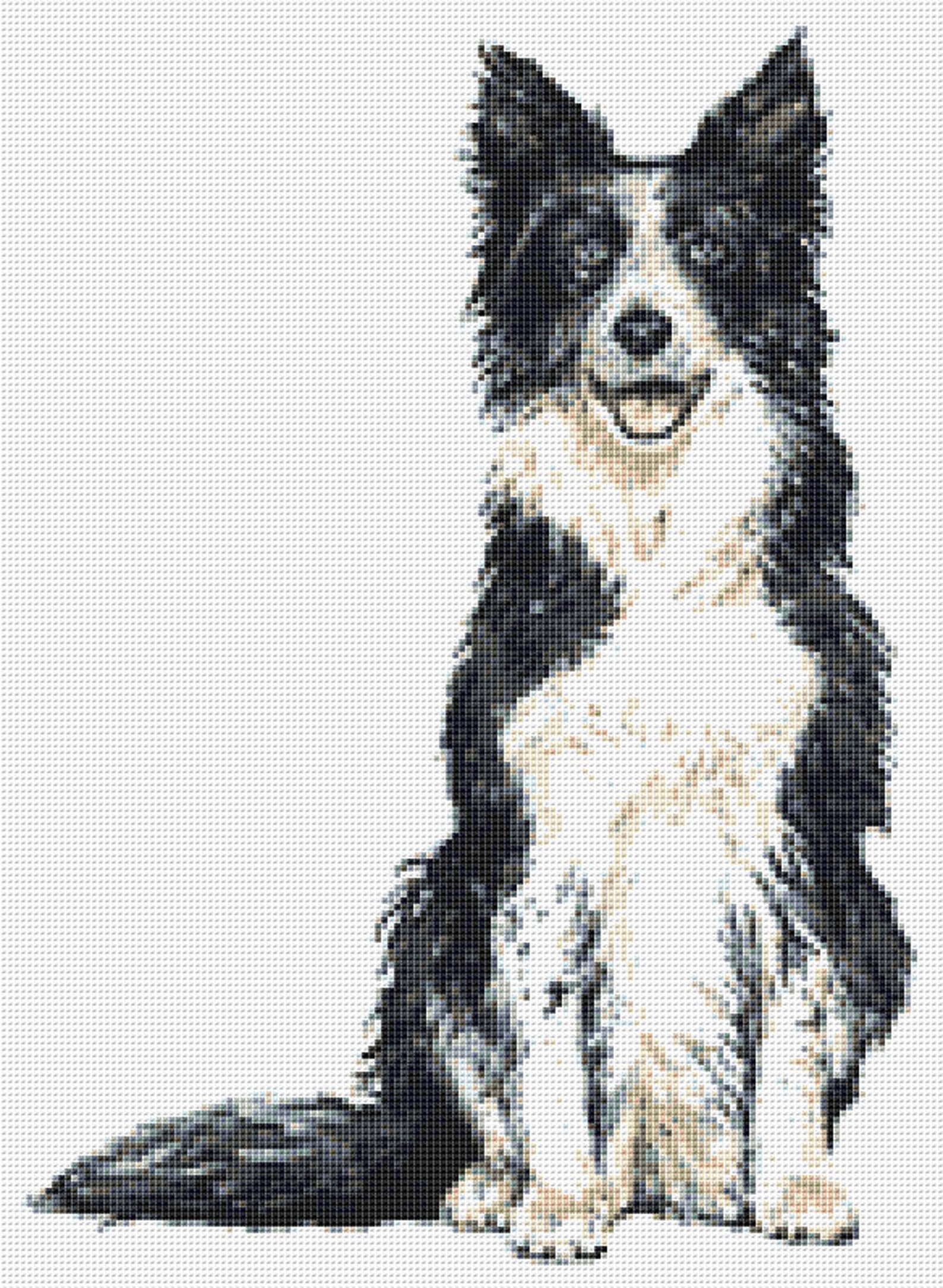 Border Collie Cross Stitch Pattern 9 Instant PDF Download - Etsy