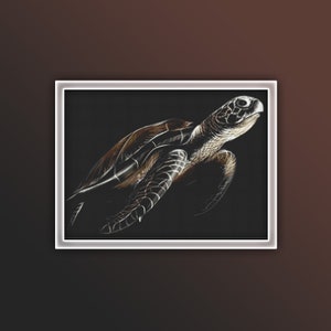 May include: A detailed black and white drawing of a sea turtle swimming in the ocean. The turtle is facing right and has a brown shell with black markings.