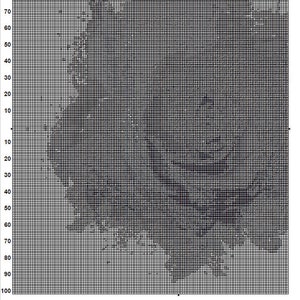 Rainbow Rose Cross Stitch Pattern 3 Instant PDF Download - Single Rose Watercolor Cross Stitch Pattern - Flower Cross Stitch Pattern image 7