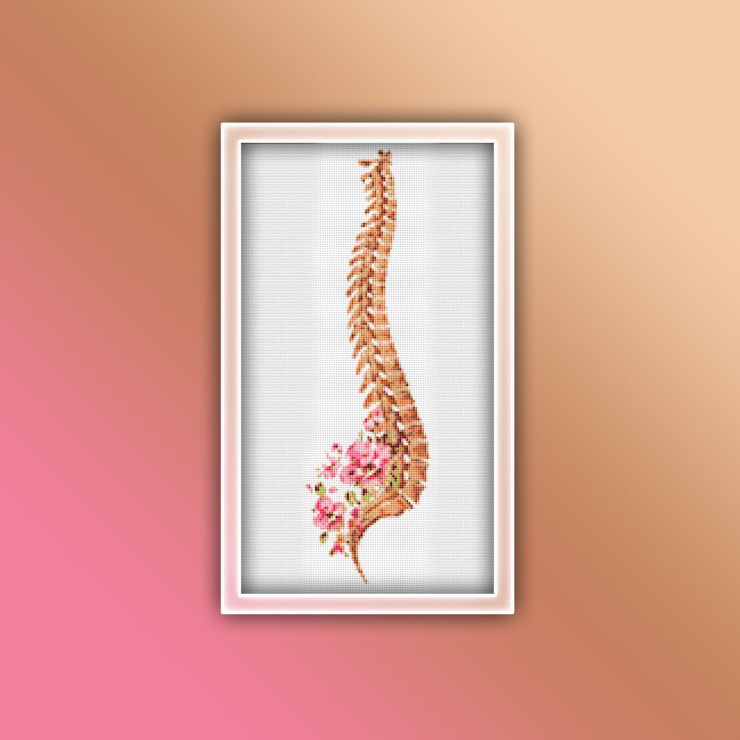 Anatomy Spine Cross Stitch Pattern 1 Instant PDF Download - Back Bone ...