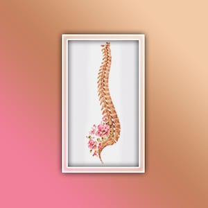 Anatomy Spine Cross Stitch Pattern 1 Instant PDF Download - Back Bone Watercolor Cross Stitch Pattern - Skelton Bones - Skeletal System
