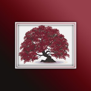 May include: A red bonsai tree with a thick trunk and branches spreading out in a rounded shape. The tree is set against a white background.