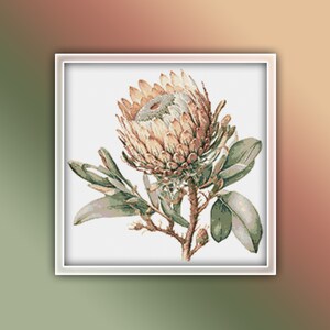 May include: A close-up of a white and brown protea flower with green leaves. The flower is in bloom and has a delicate, intricate texture.