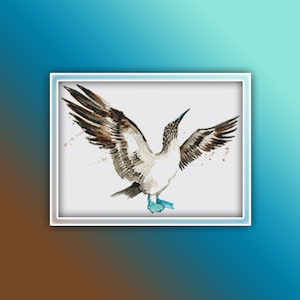 Blue Footed Booby Cross Stitch Pattern 1  Blue Footed Booby Bird Watercolor Cross Stitch Pattern - Bird Cross Stitch Pattern