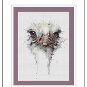 May include: A framed artwork depicting an ostrich's head in a watercolor style. The image highlights the ostrich's face with detailed eyes and beak, using brown, beige, and grey tones. The design size is 26.85 x 36.29 cm.