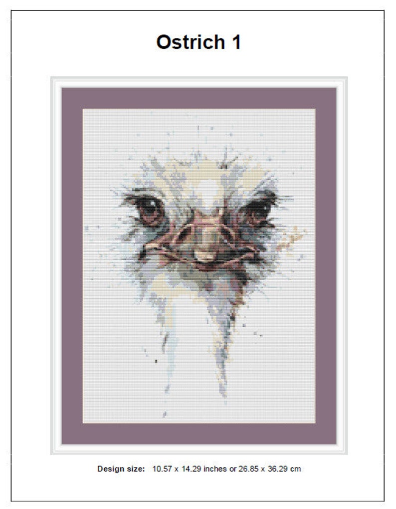 May include: A framed artwork depicting an ostrich's head in a watercolor style. The image highlights the ostrich's face with detailed eyes and beak, using brown, beige, and grey tones. The design size is 26.85 x 36.29 cm.
