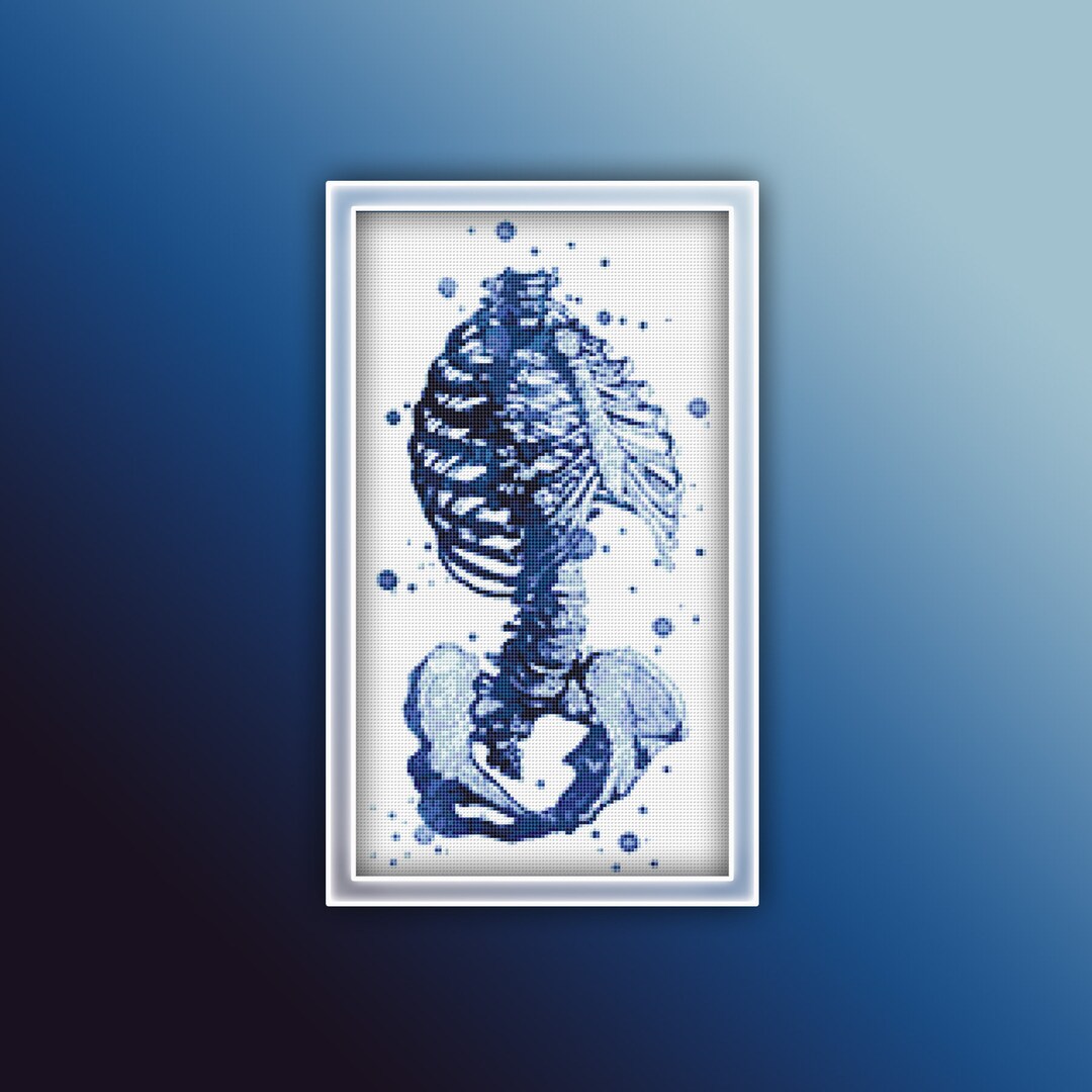 Anatomy Ribcage Cross Stitch Pattern 2 Instant PDF Download - Pelvis ...