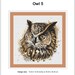Owl Cross Stitch Pattern 5 Instant PDF Download Owl - Etsy