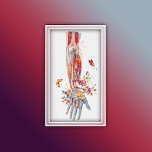 Anatomy Arm Cross Stitch Pattern 2 Instant PDF Download | Muscle Anatomy System Watercolor Cross Stitch Pattern | Anatomical Body |