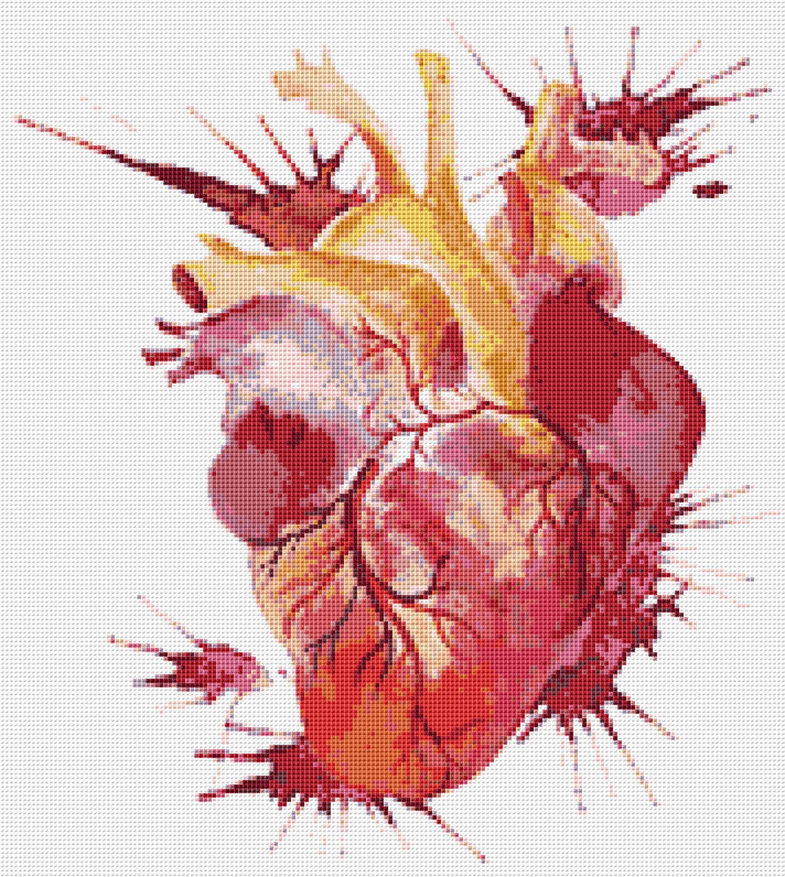 Anatomy Heart Cross Stitch Pattern 2 Instant PDF Download Etsy