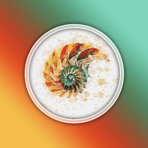 May include: A nautilus shell with a white background and a light orange and green colour scheme. The shell is in a circular frame.