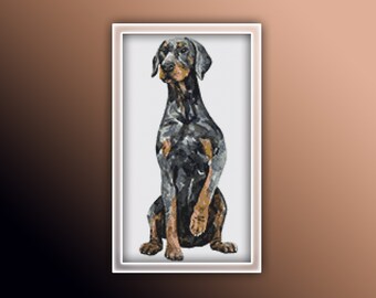 May include: A blue and black Doberman Pinscher dog sitting with its front paws crossed. The dog has a serious expression on its face.